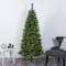 6ft. Pre-Lit White Mountain Pine & Pinecones Artificial Christmas Tree with Clear LED Lights